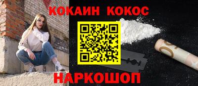 крисы Дубна